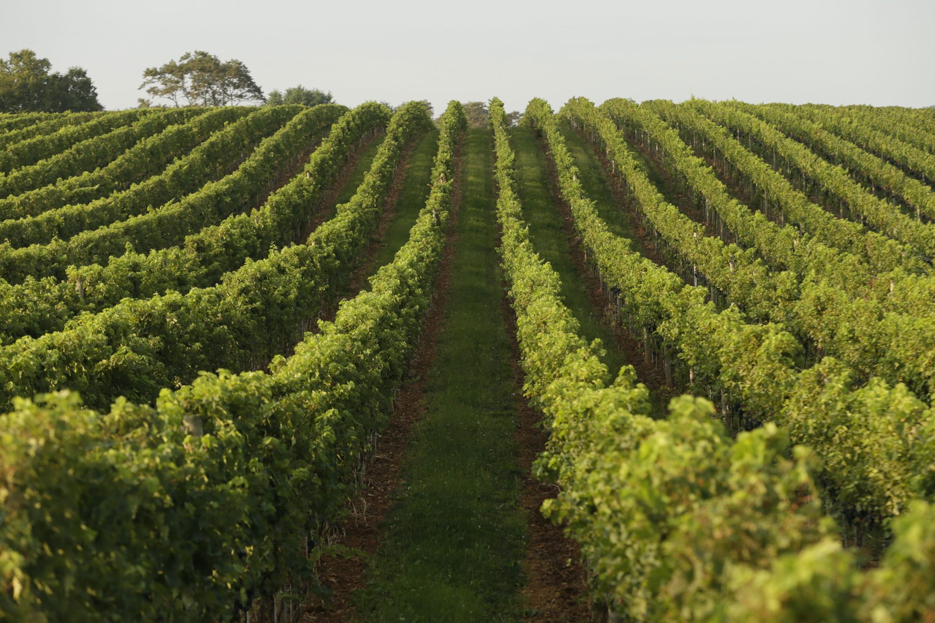 Farming for the future