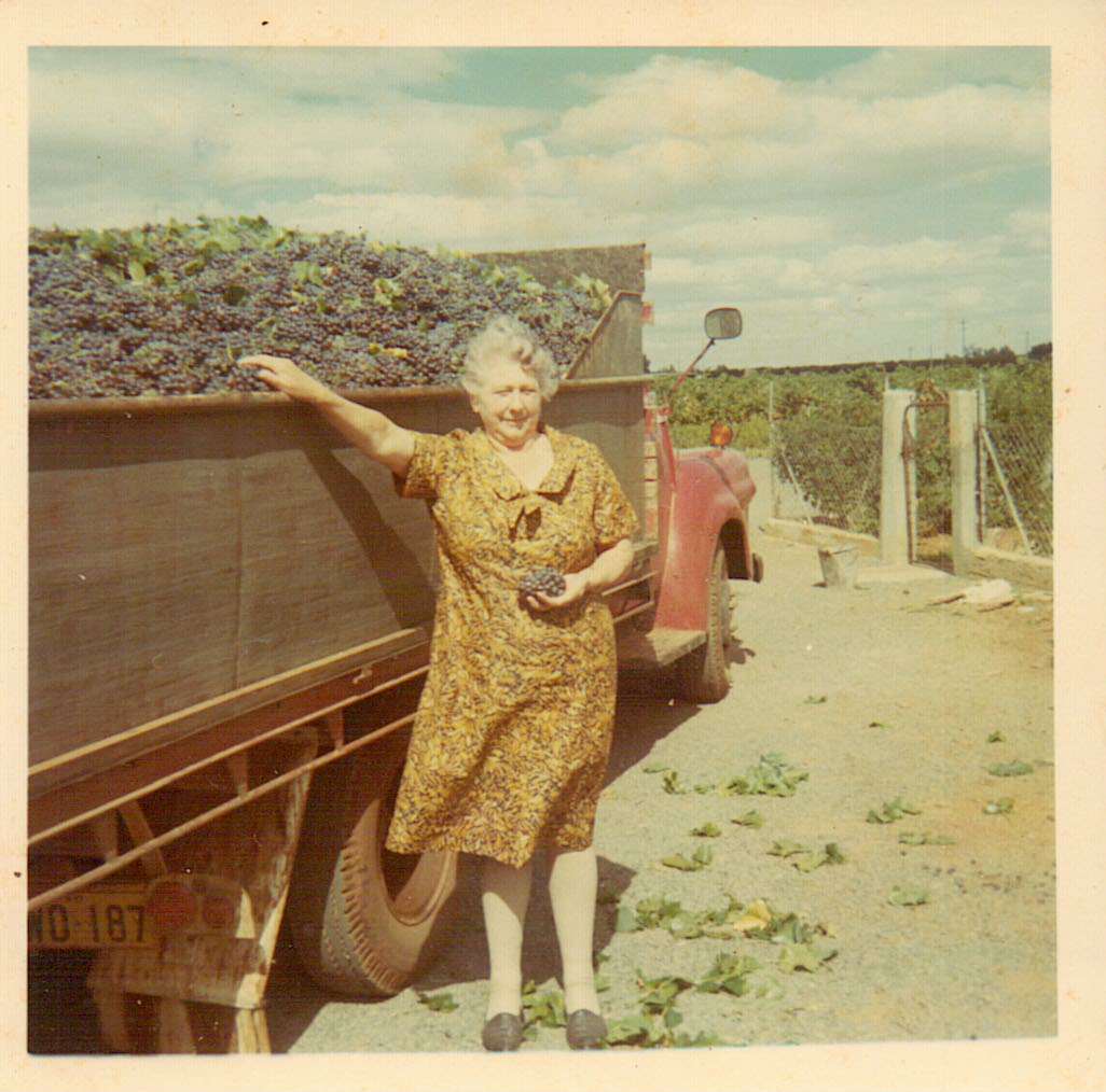 Bianchini farm history