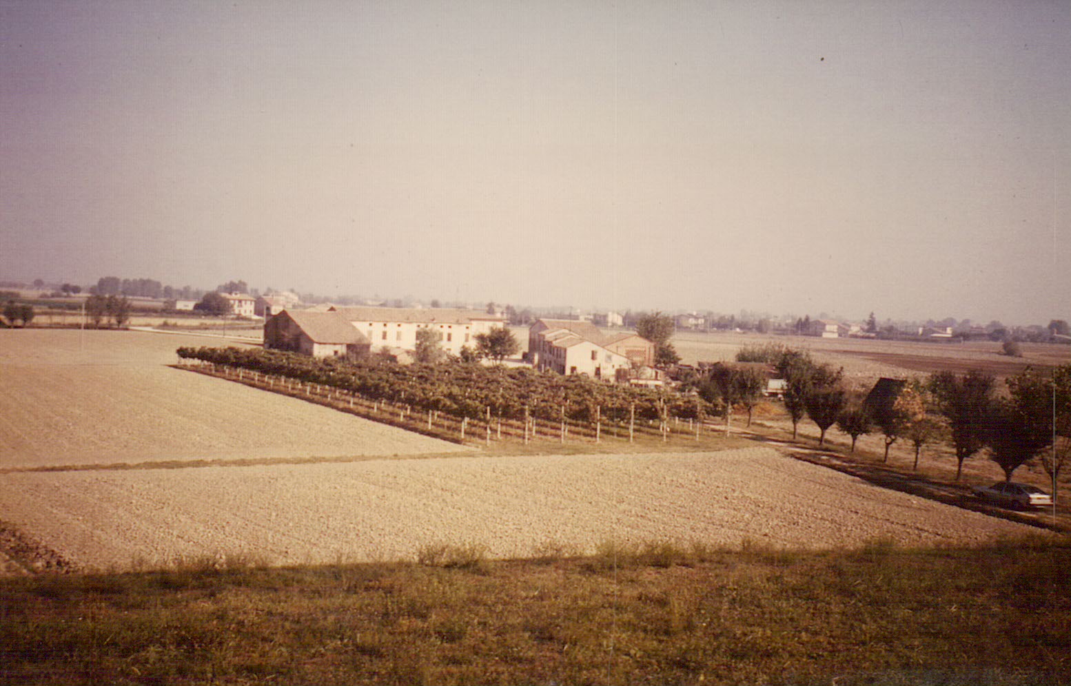 Bianchini farm history