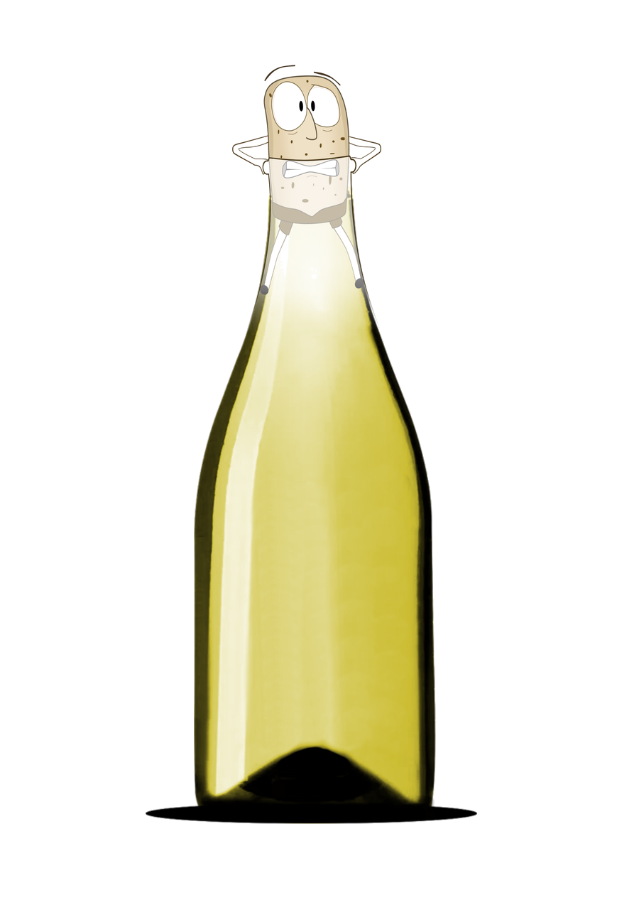 Bianchini Wines